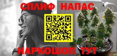 a pvp Сланцы