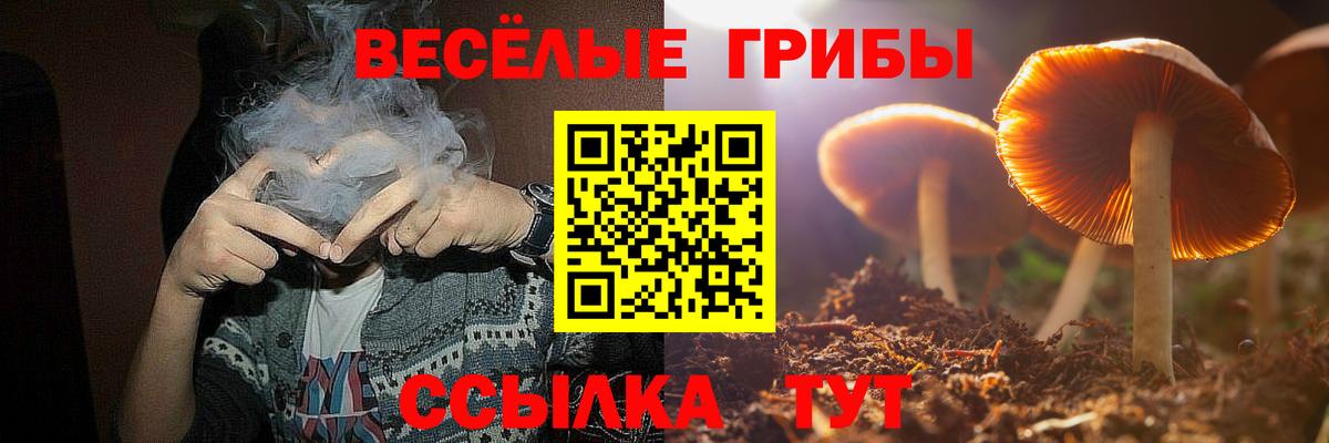 Трёхгорный  Псилоцибиновые грибы ЛСД  Псилоцибиновые грибы Cubensis  Вход с VPN 