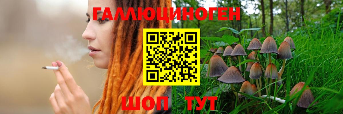 Галлюциногенные грибы Cubensis Трёхгорный